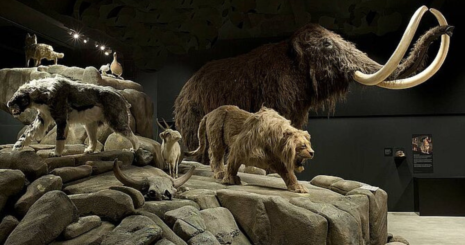 Natuurmuseum Brabant Tilburg